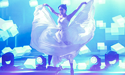 ҕ�l���ӹ�Ŀ����ɫ����