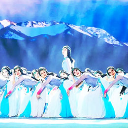 �������ˇ�������ˇ�ݳ�����ˇ��Ŀ�������Ŀ������ݳ���������������}���